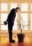 A man is watering a potted tree in front of a window.